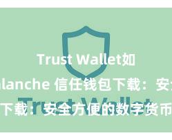 Trust Wallet如何使用Avalanche 信任钱包下载：安全方便的数字货币贬责器具