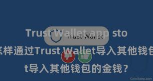 Trust Wallet app store下载 怎样通过Trust Wallet导入其他钱包的金钱？