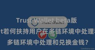 Trust Wallet beta版 Trust Wallet若何扶持用户在多链环境中处理和兑换金钱？