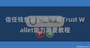 信任钱包助记词 下载Trust Wallet能力简要教程