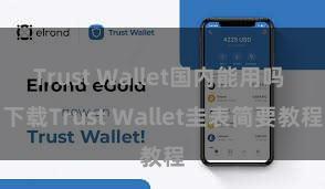 Trust Wallet国内能用吗 下载Trust Wallet圭表简要教程