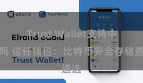 Trust Wallet支持中文吗 信任钱包：比特币安全存储遴选